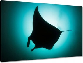 Vászonkép 90x60 Állatok