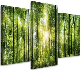 Gario Vászonkép Napsugarak a zöld erdoben - 3 részes Méret: 90 x 60 cm