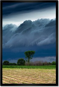 Poszterek keretben 40x60 Kukoricamező Fák