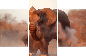 Kép - Nagy afrikai elefánt (90x60 cm)