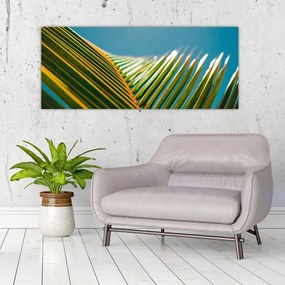 Kép - A pálmalevél részlete (120x50 cm)