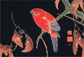 Fali fotótapéta Étkezőbe Egzotikus madár 152x104 Ragasztó