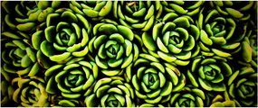 Sziklák képe (120x50 cm)