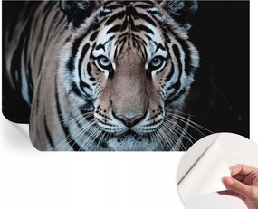 Öntapadós tapéta Divatos 3D fali ragasztó Tigris portré 416x254 cm