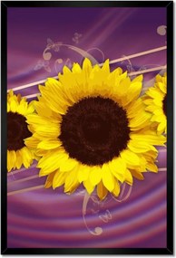 Poszterek keretben 40x60 Napraforgók