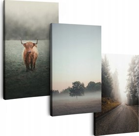 Vászonkép 180 cm **többféle minta** Képek A Nappaliba Triptichon Kép