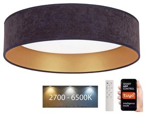 Brilagi - LED Dimmelhető lámpa VELVET SMART LED/24W/230V Wi-Fi Tuya + távirányító