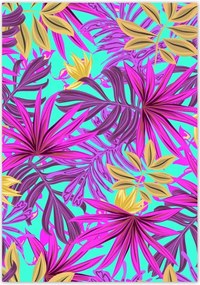 Poszterek 70x100 Egzotikus levelek Trópusok