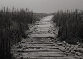 Poszter 35x25cm A csend ösvénye Dűnék