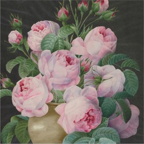 Stílusos Dekoratív fotótapéta Flizelin Virágos elegancia 250x250