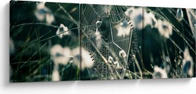 Kép - Pókháló (órával) (90x30 cm)