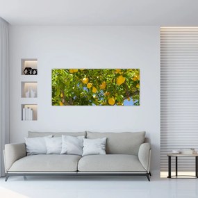 Kép - Citromfa (120x50 cm)