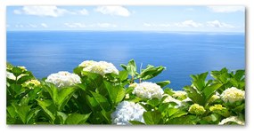 Akril üveg kép Virágok a tengerparton oah-87726143