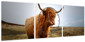 Egy skót tehén képe (órával) (90x30 cm)