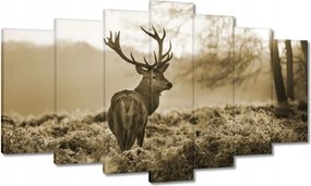 Vászonkép 140x80 Szarvas erdő naplemente