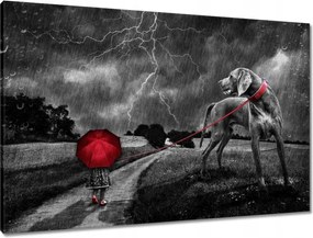 Vászonkép 90x60 Túlnőttem ezen a sétán