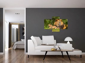 Oroszlánok képe (90x60 cm)