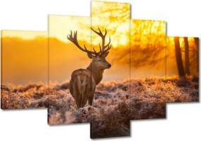 Vászonkép 120x80 Szarvas napfelkeltekor