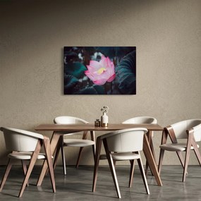 Rózsaszín virág képe (90x60 cm)