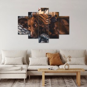 Egy kép fekvő kutyákról (150x105 cm)