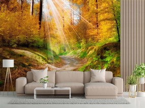 Gario Fotótapéta Egy ösvény az erdőben Anyag: Vlies, Méret: 400 x 280 cm