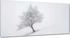 Festmények 115x55 Fa Fák Kilátás