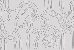 Fotótapéta Flizelin Dekoratív az irodába Organikus vonalak 104x70 Ragasztó