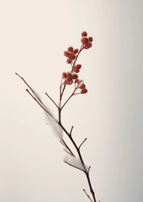 Poszter 59,4x84,1cm A tél finom ereje