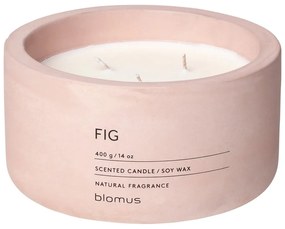 Illatos szójaviasz gyertya égési idő 25 ó Fraga: Fig – Blomus