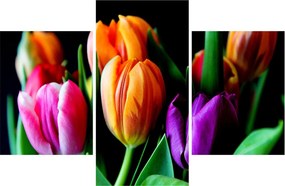 Tulipánok képe fekete alapon (90x60 cm)