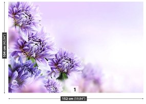 Fotótapéta lila virágok 104x70 cm