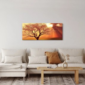 Isten sugarainak képe (120x50 cm)