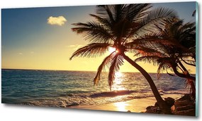 Fotó üvegkép Trópusi tengerpart 125x50