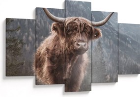 Kép - Highlander tehén (150x105 cm)