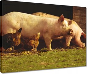 Vászonkép 40x30 Állatok