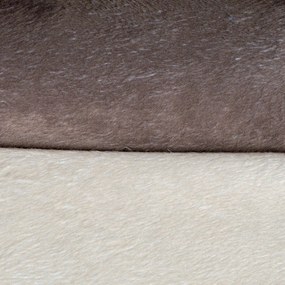 Bézs velúr fekhely kutyáknak 61x38 cm Flakes – Love Story