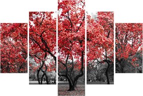 Kép - vörös fák, Central Park, New York (150x105 cm)