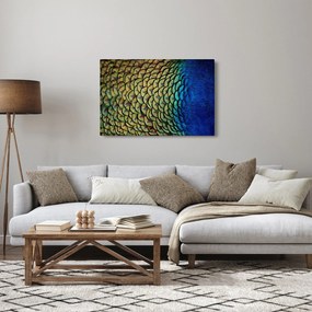 Kép - Pávatollak (90x60 cm)
