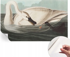 Öntapadós tapéta Divatos 3D fali ragasztóval A természet harmóniája 416x254 cm