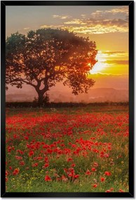 Poszterek keretben 40x60 Pipacsok a mezőn Tájkép