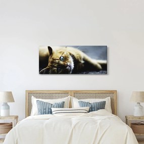 Macska képe (120x50 cm)
