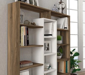 könyvespolc Ample - Walnut, White