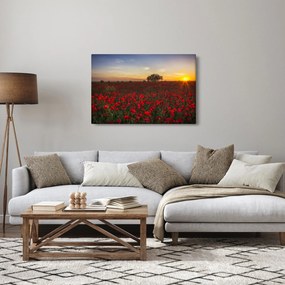 Pipacsos rét képe (90x60 cm)