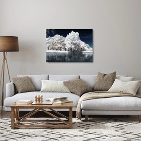 Üveg kép - Hófehér fák (70x50 cm)