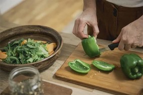 Hámozókés, 11 cm, FISKARS Functional Form GRS (IF1087407)