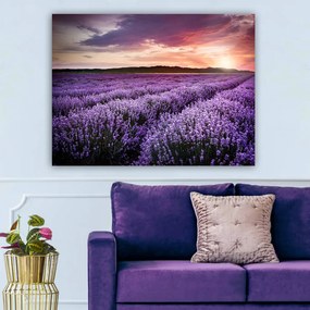 Vászonkép, 70×100 cm – TR441HPE2435