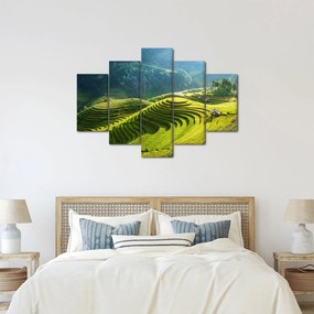 Kép - Rice Terraces koncert (150x105 cm)
