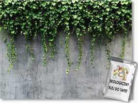 Fotótapéta Flizelina Szürke Beton Falazat Kúszó Levelek Borostyán 100x75 ragasztó