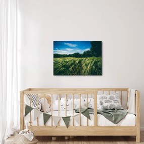 Rét és az erdő képe (70x50 cm)