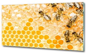 Üvegkép Dolgozó méhek osh-74378590